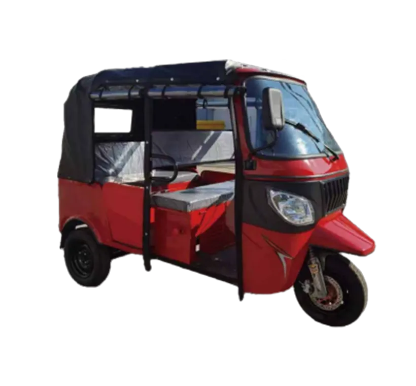 OLP3E500-K6-D Electric Tricycle