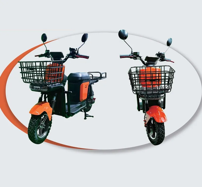 TINBOT DELIVERY-DS1